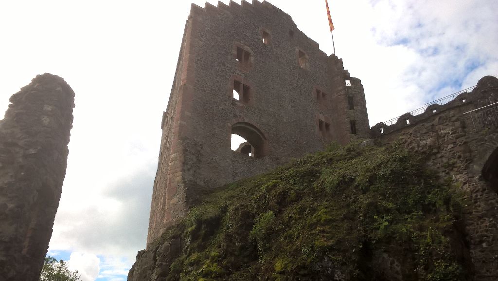 WP_20180602_11_06_06_Pro 2.jpg