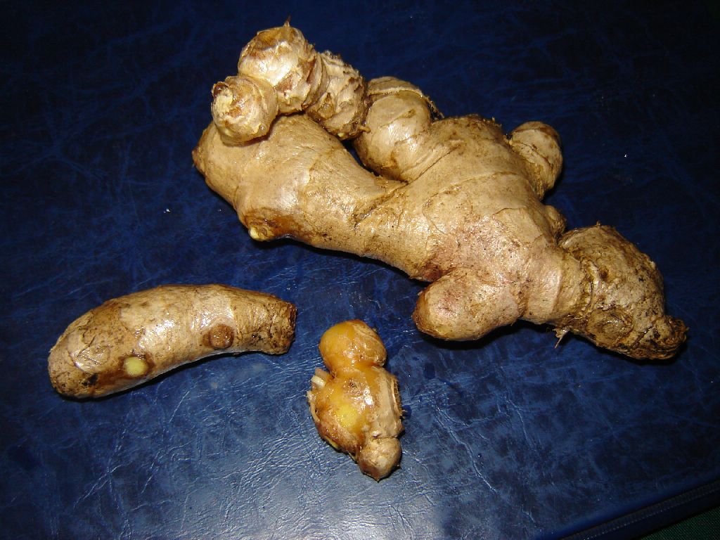 Ingwer01.jpg