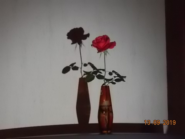 DSCN4369.JPG