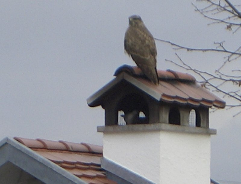 Ungeplanter Besuch vom &quot;Großen Bruder&quot;