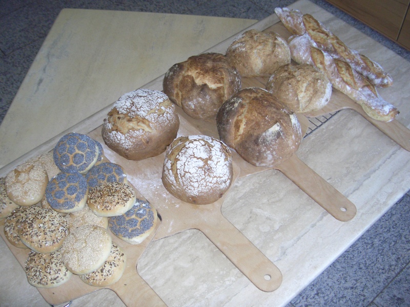 Von links: Brötchen - Bierbrote -Schwäb.Bauernbrot - Walnuss Sonnenblumen Brot - Dinkelbaguette