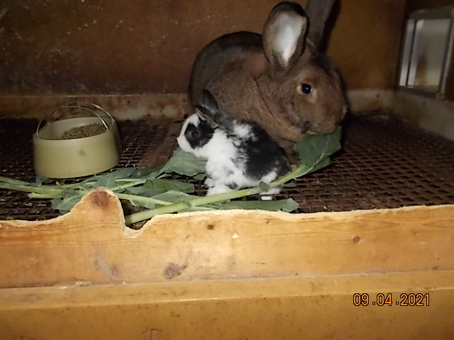 DSCN7234.JPG