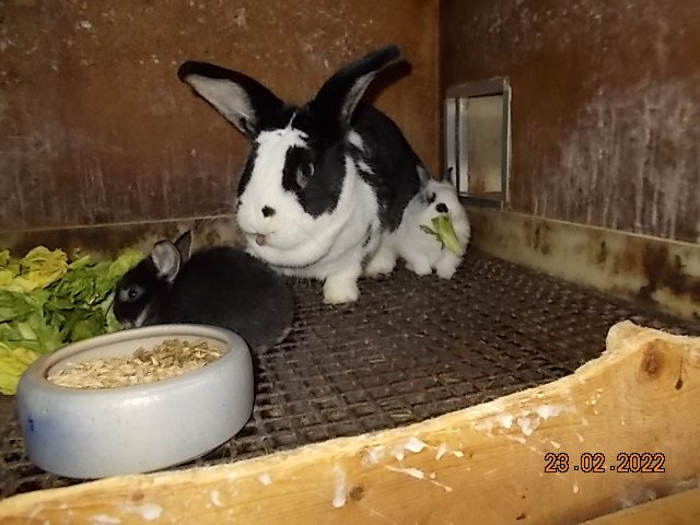 DSCN9598.JPG