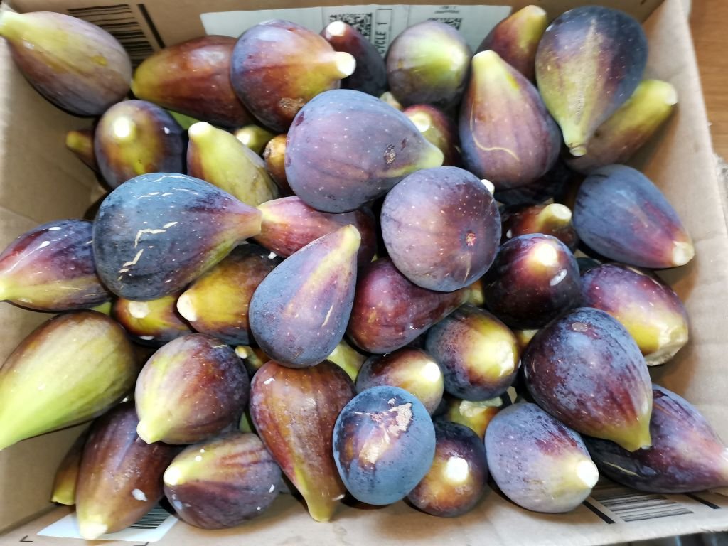 Feigenernte_2022_06.jpg