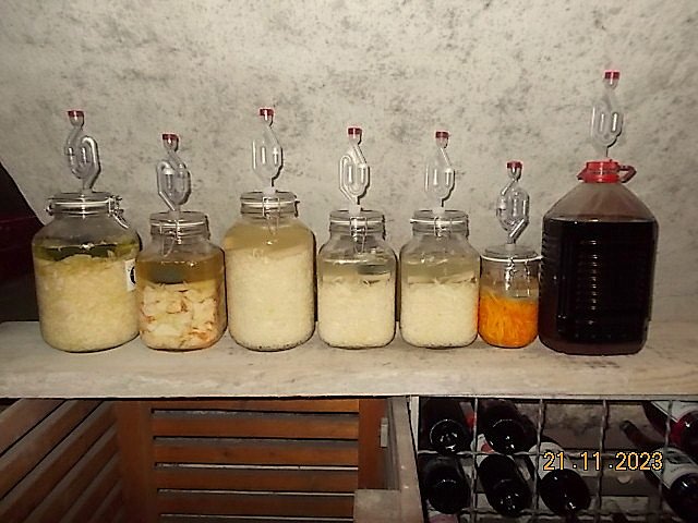 DSCN2011.JPG