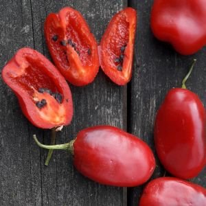 Baumchili Rocoto.jpg