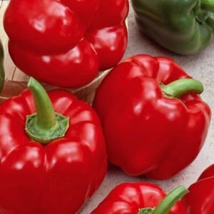 California Wonder.jpg