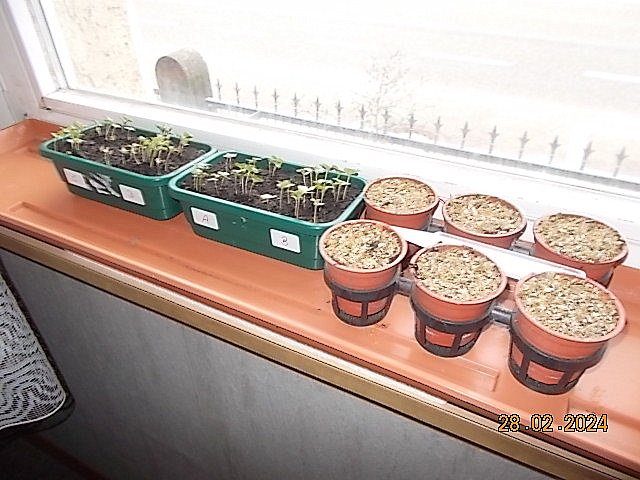 DSCN2291.JPG