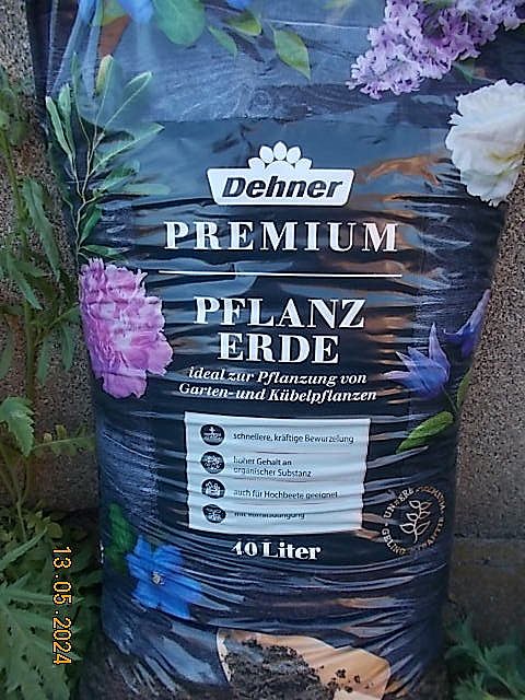 DSCN2590.JPG