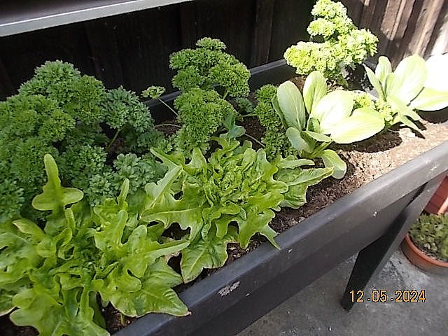 DSCN2583.JPG