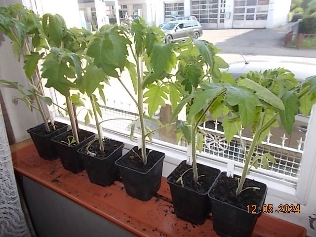 DSCN2588.JPG