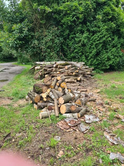 k-WhatsApp Bild 2024-07-13 um 19.46.33_de692141.jpg