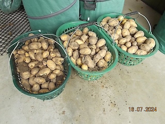 DSCN2816.JPG