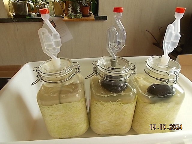 DSCN3038 - Kopie.JPG