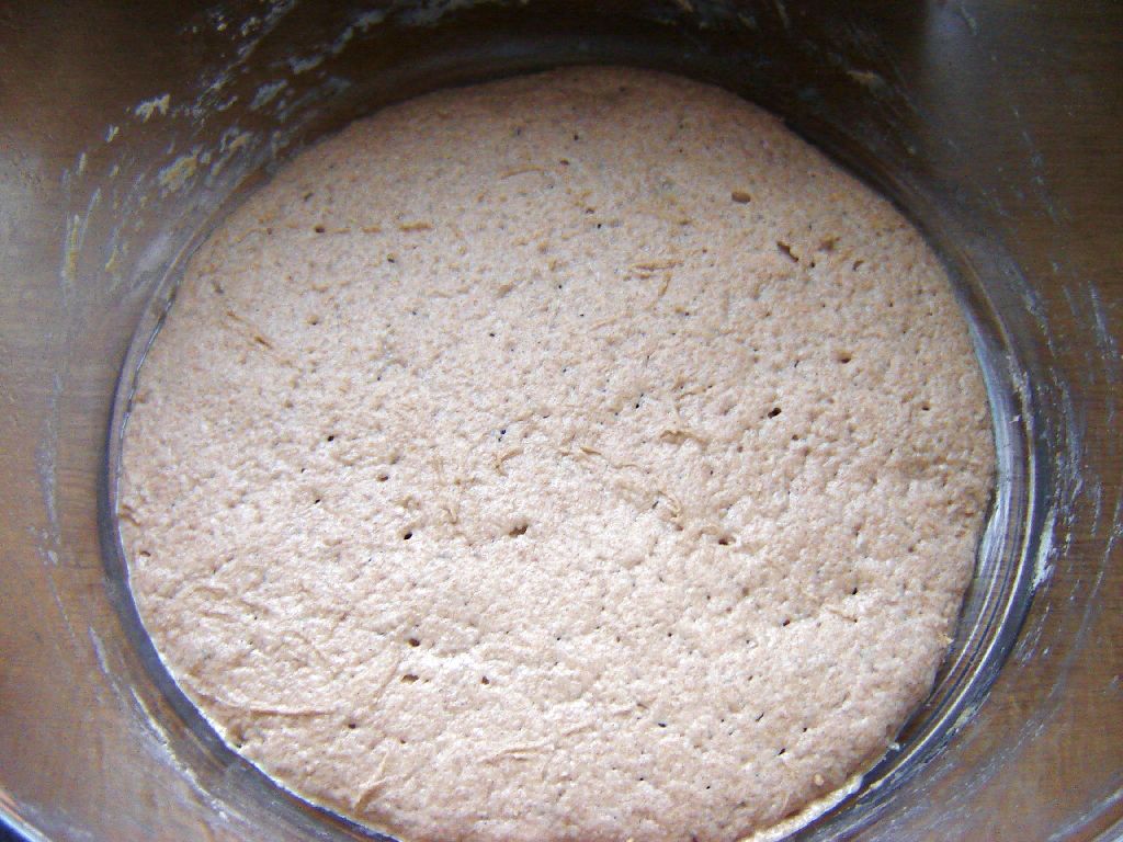 Alter Fritz07.jpg