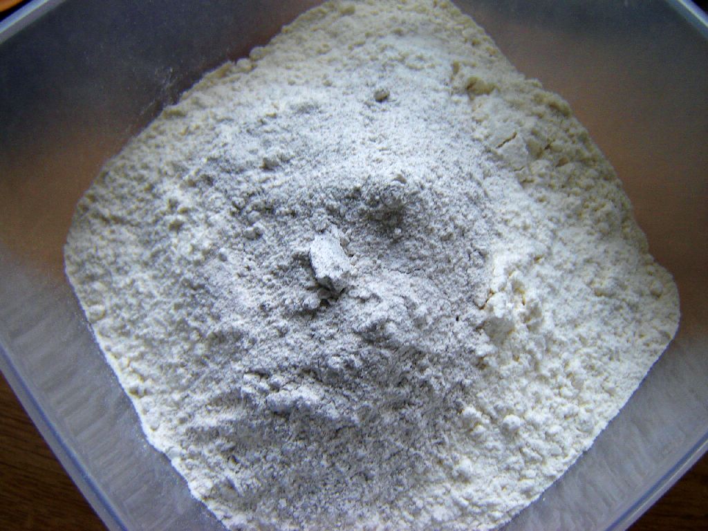 Alter Fritz08.jpg
