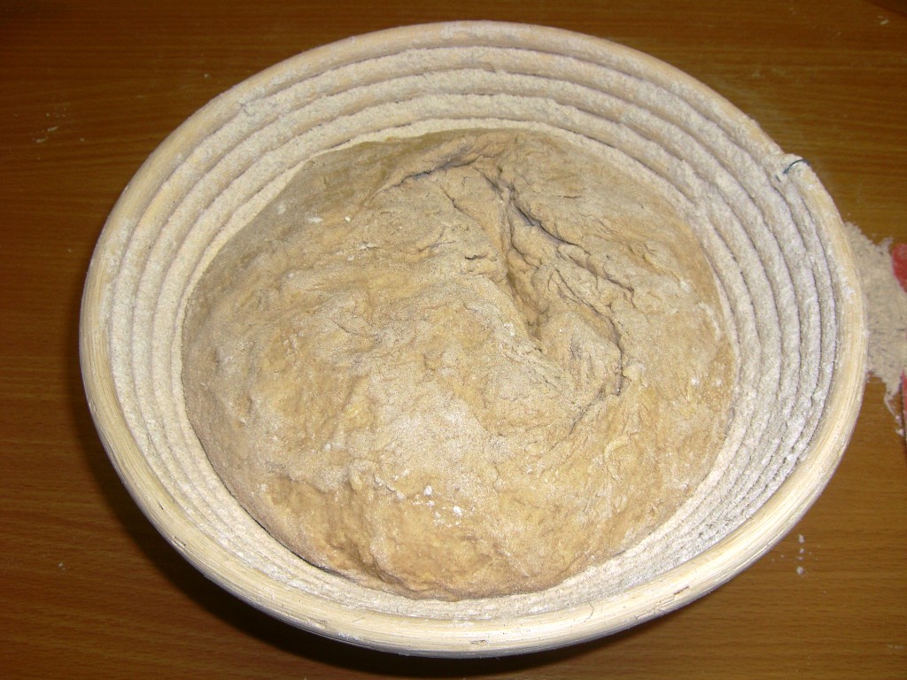 RS 031.jpg
