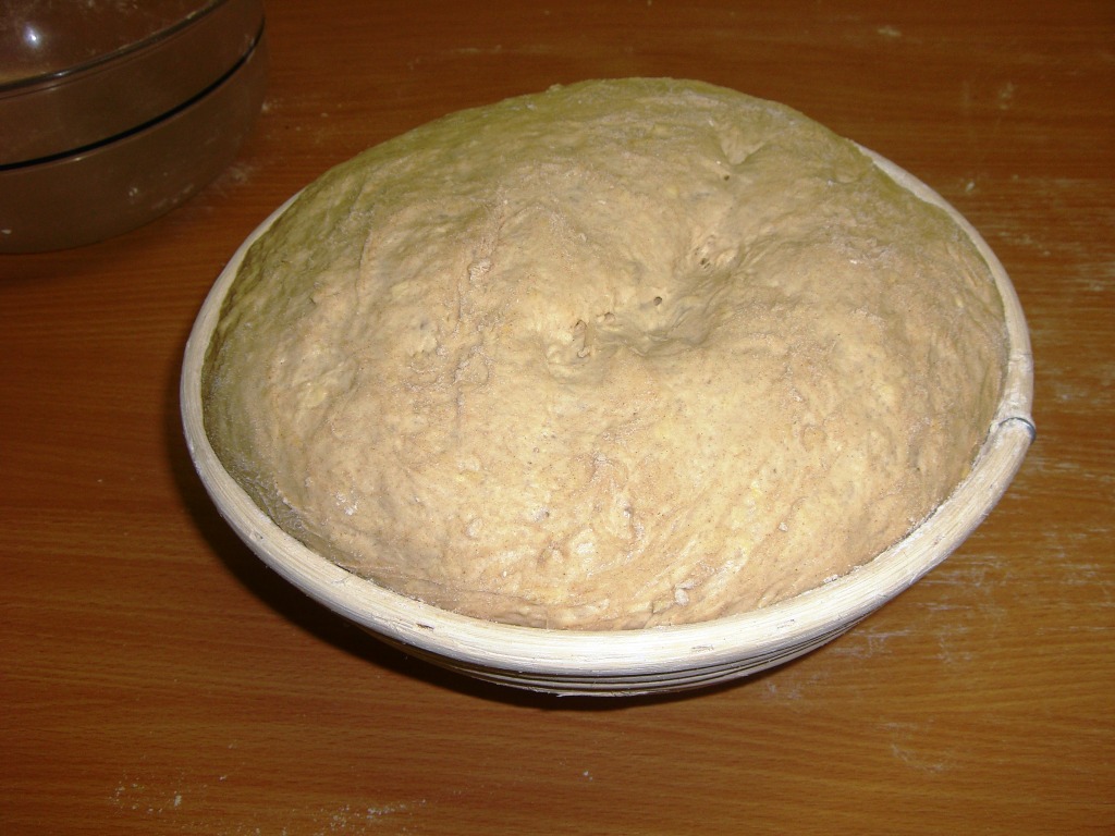 RS 035.jpg