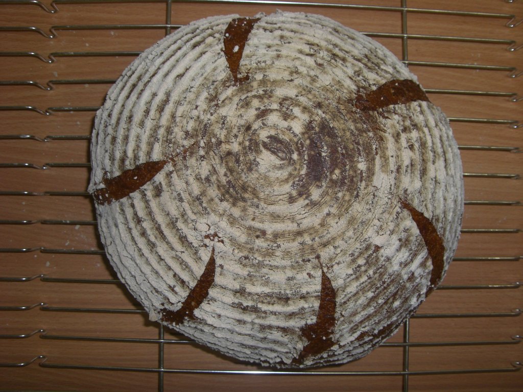 RS 039.jpg