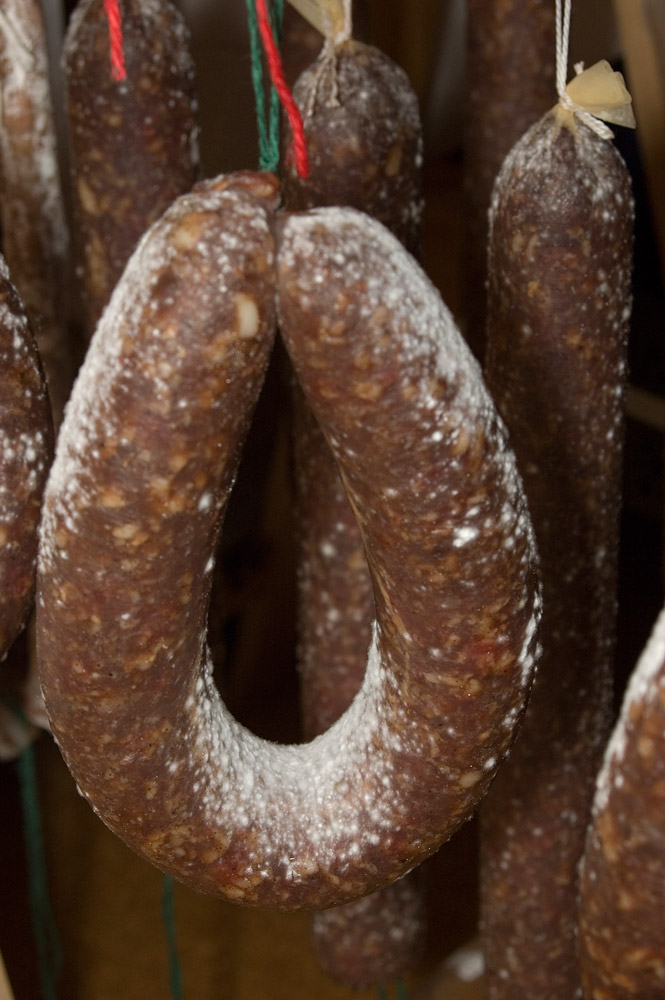 der erste Schimmel - kein Grund zur Panik