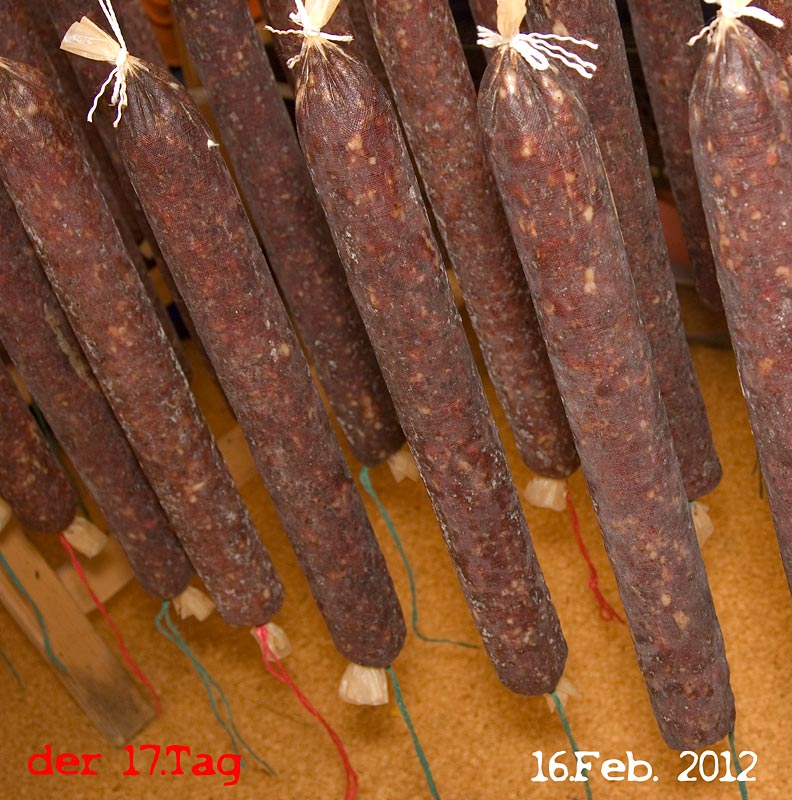 neben einem erneuten Schimmelanflug sieht man jetzt auch etwas auskristallisiertes Salz (kommt vom Abwaschen mit Salzwasser) auf der Pelle