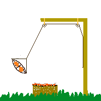 der mensch denkt der saarländer schwenkt.gif