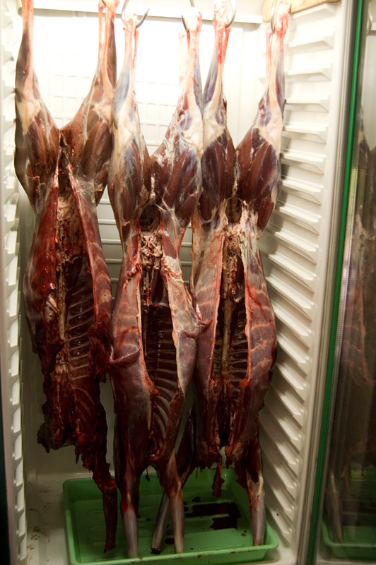 meine "Wildkühlung", ein regelbarer Getränkekühlschrank mit Umluft aus der Bucht (damals um die 200,-)