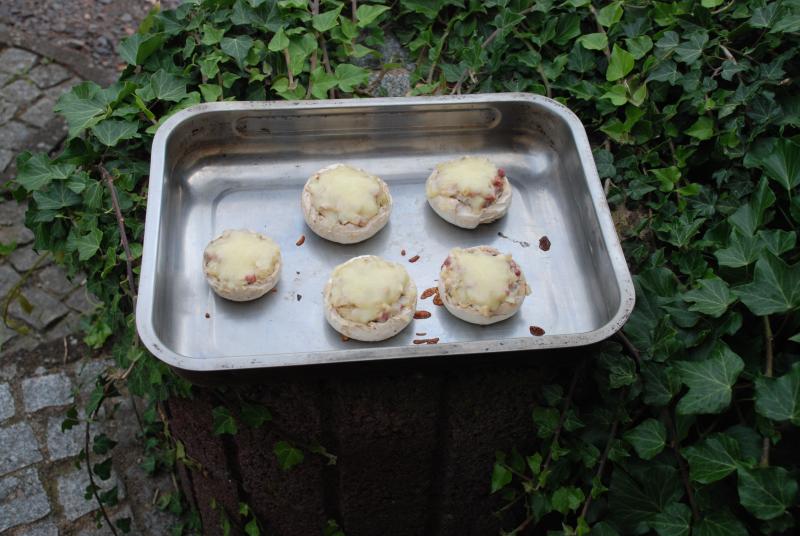 Pilze vorgegart, waren mit Alufolie abgedeckt.