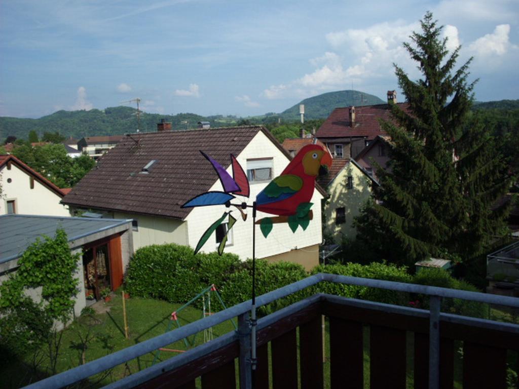 mein Balkonvogel