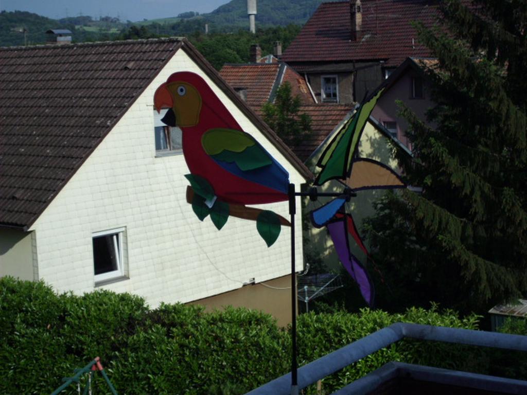 Vogel fertig
