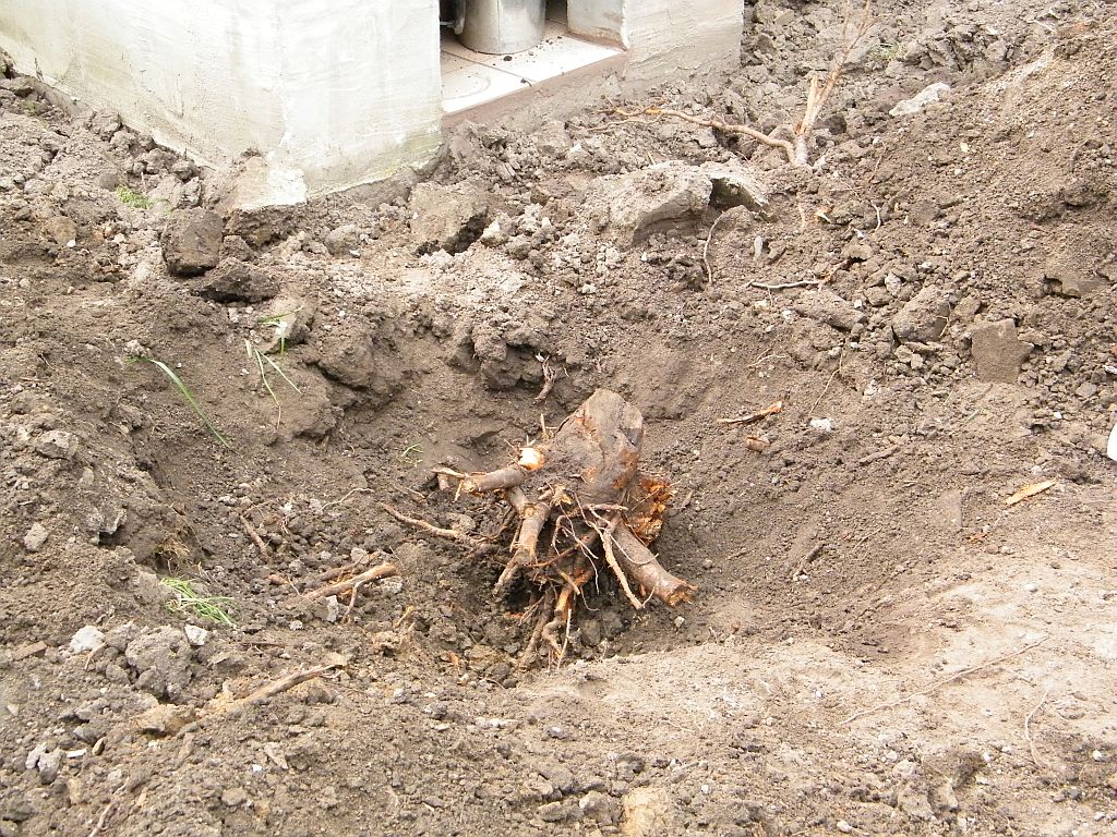 DSCF8114.JPG
