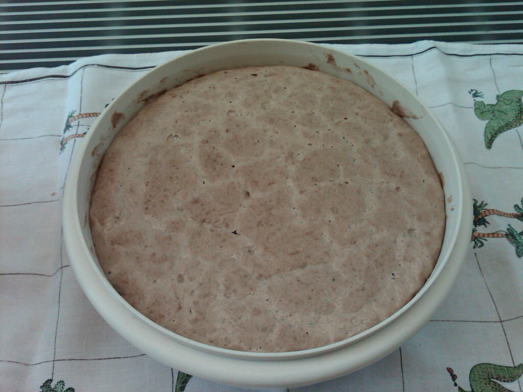 IMG02833-20120616-1452.jpg