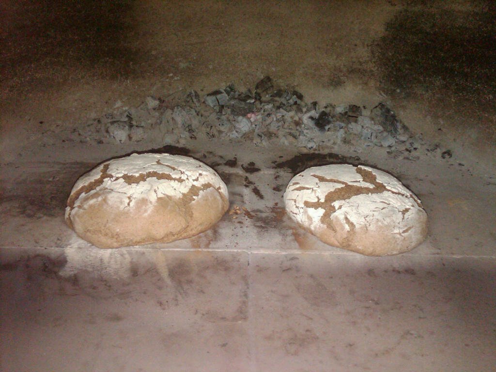 IMG02835-20120617-1247.jpg