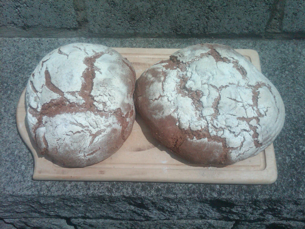 IMG02837-20120617-1337.jpg