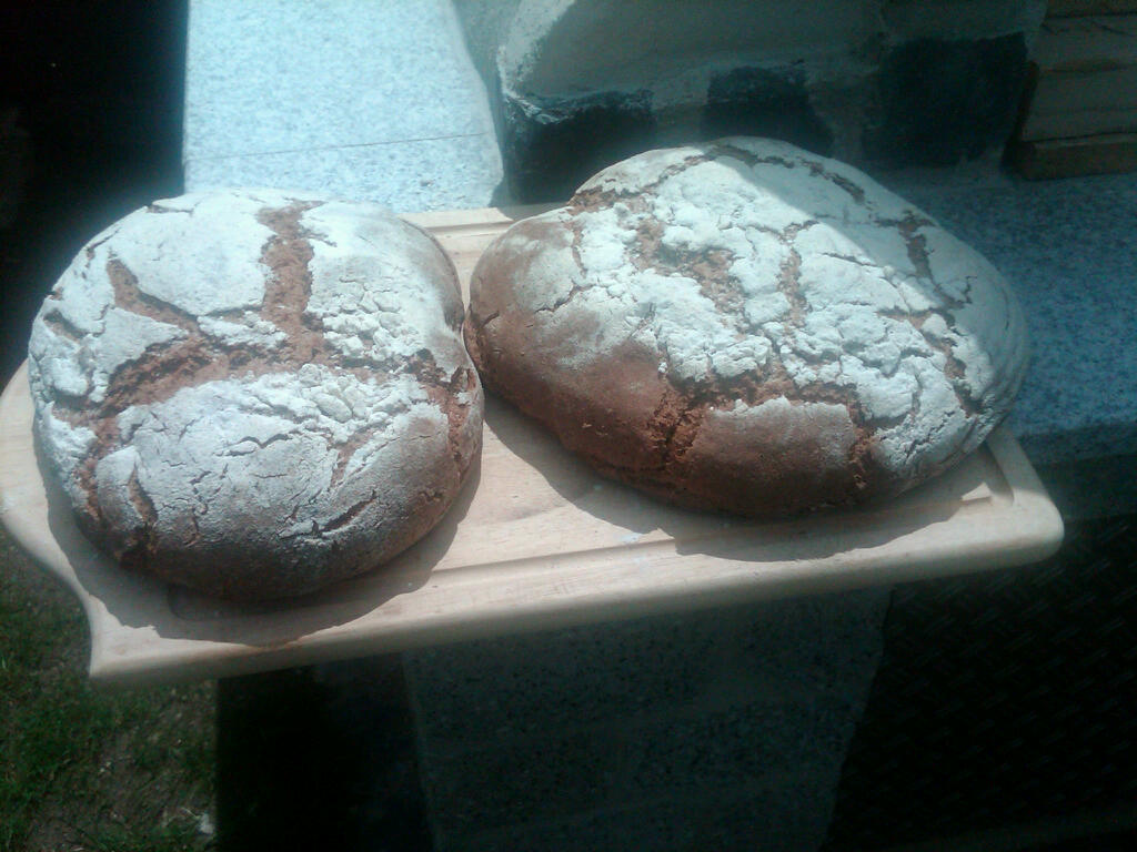 IMG02836-20120617-1336.jpg