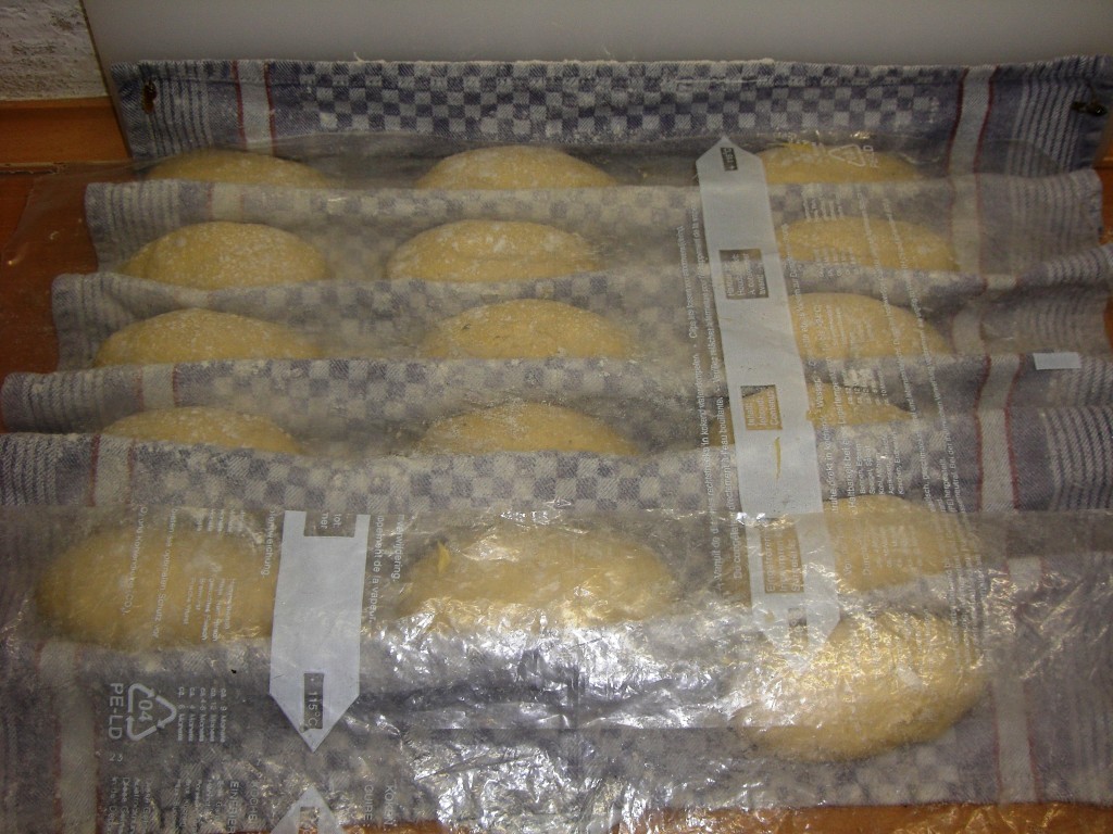 ns 272.jpg
