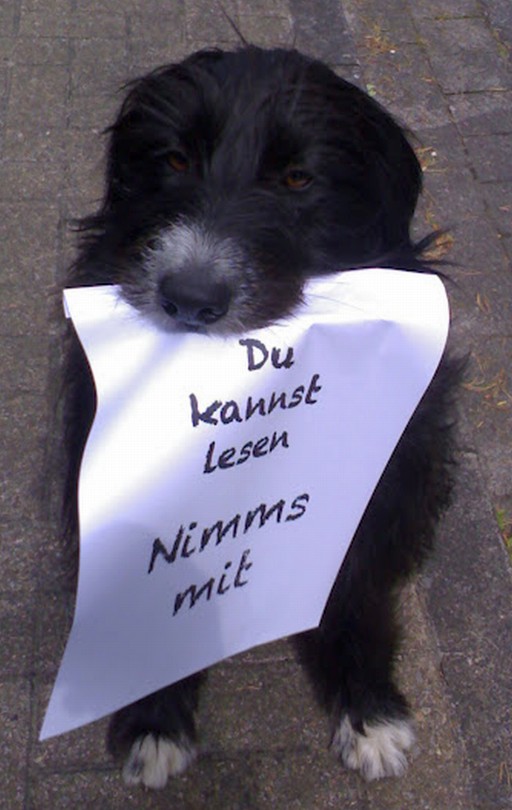 nimms mit.jpg