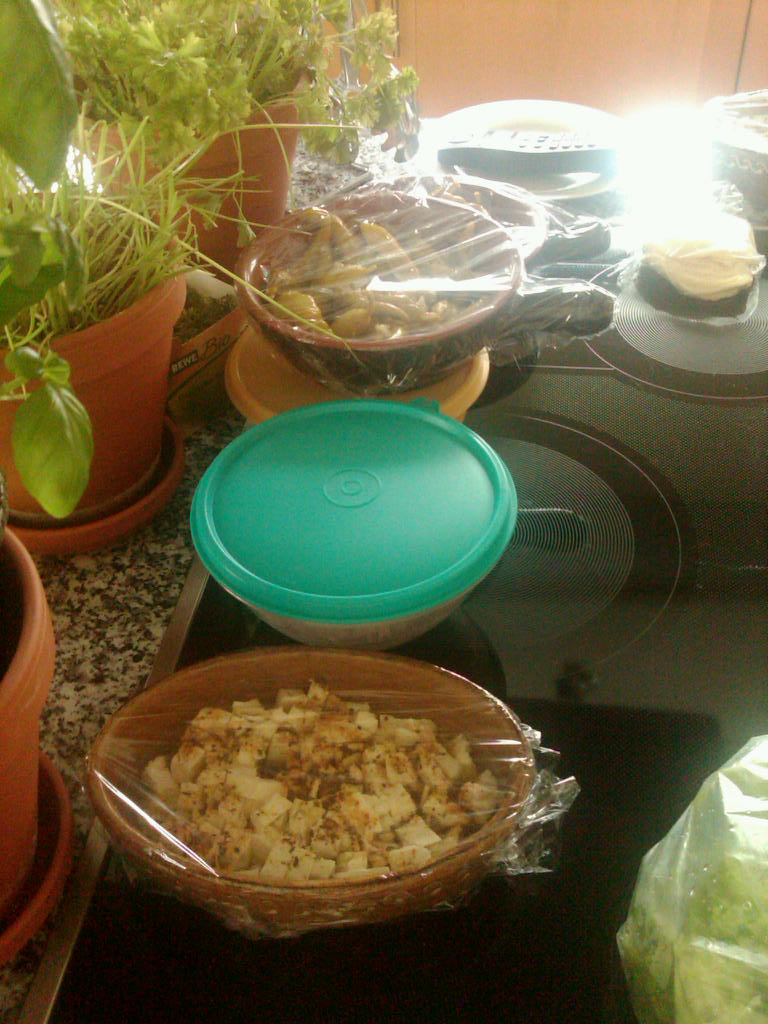 IMG02907-20120706-1607.jpg