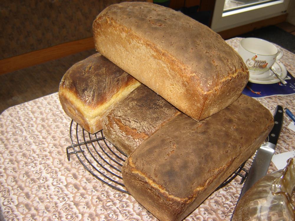 brot01.jpg