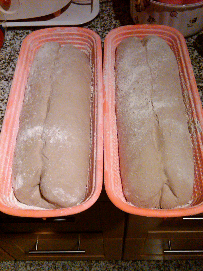 IMG02919-20120713-2137.jpg