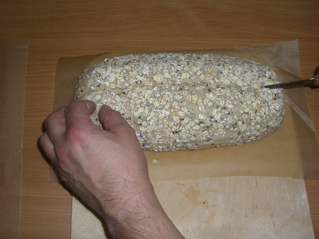 Fitte schnitte 044.jpg