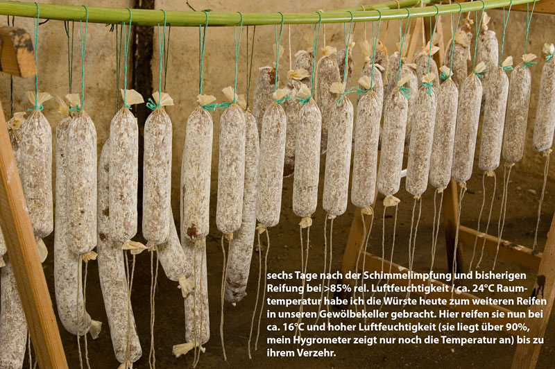 190712002Wildschweinsalami-mit-Edelschimmel-im-Gewölbekeller01.jpg