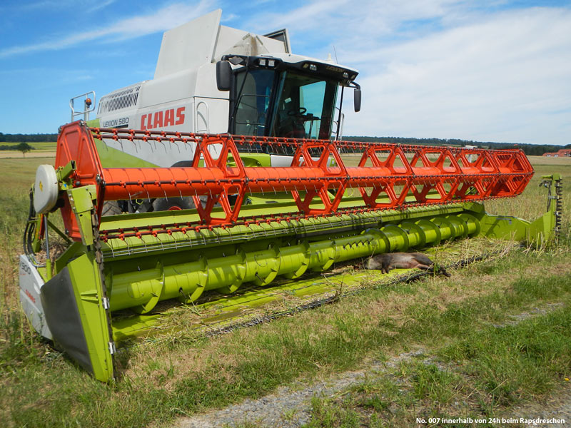 No.: 007 innerhalb der letzten 24Stunden
