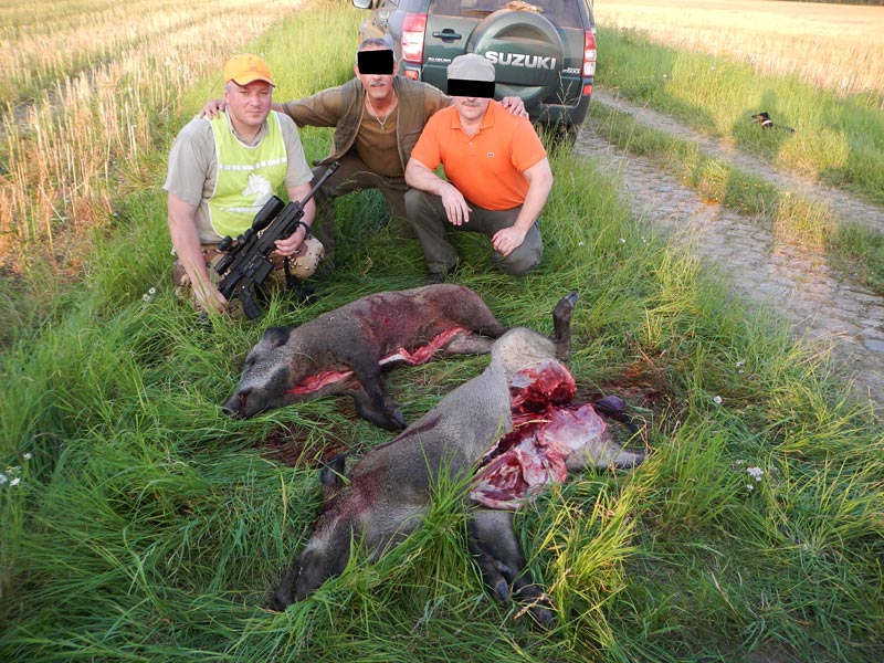 die erste rollierte wie ein Hase nach meinem Treffer, die zweite bekam zwei tödliche Treffer, der erste war von mir. Mein Nachbarjäger hat sicherheitshalber noch einen darauf abgegeben.