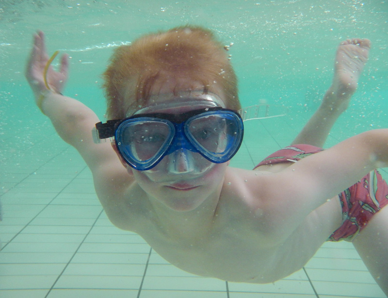 Willy-taucht-im-Hallenbad.jpg