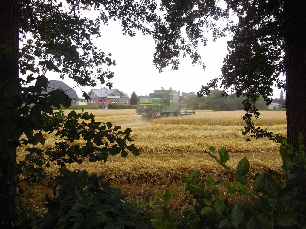 der macht mein Mehl ab!