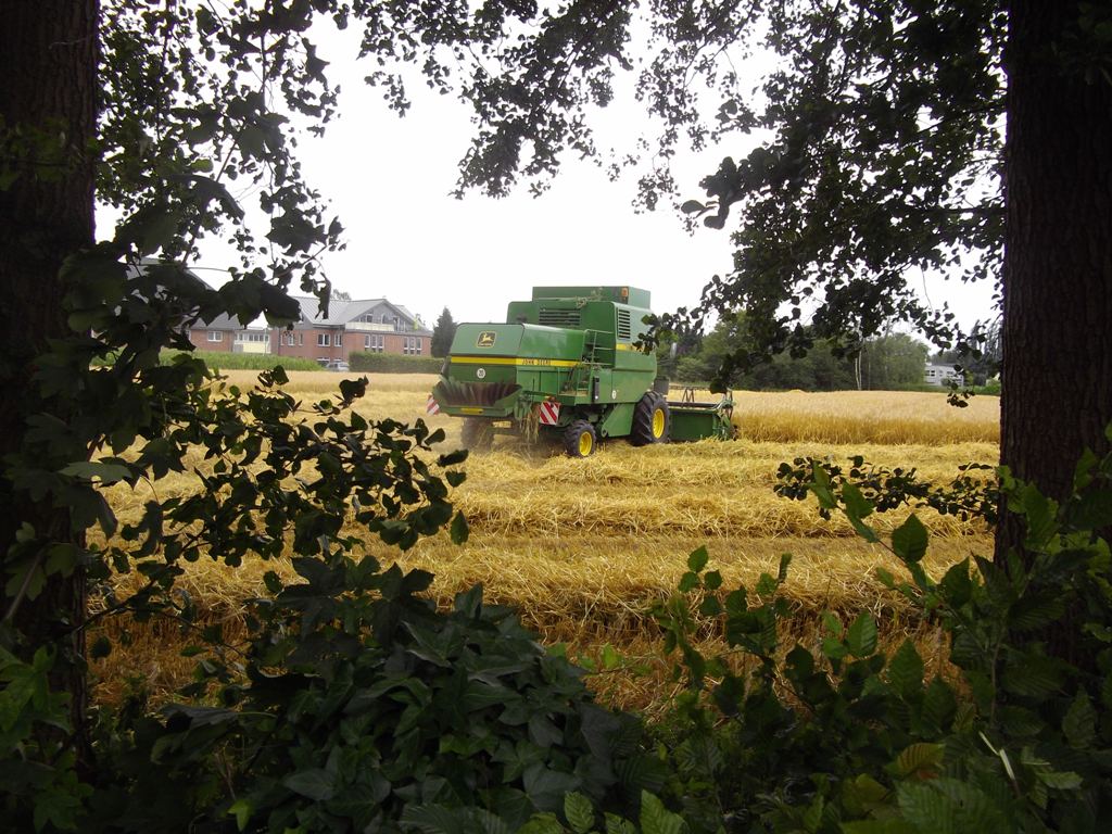 Der war überhaupt nicht zu bremsen