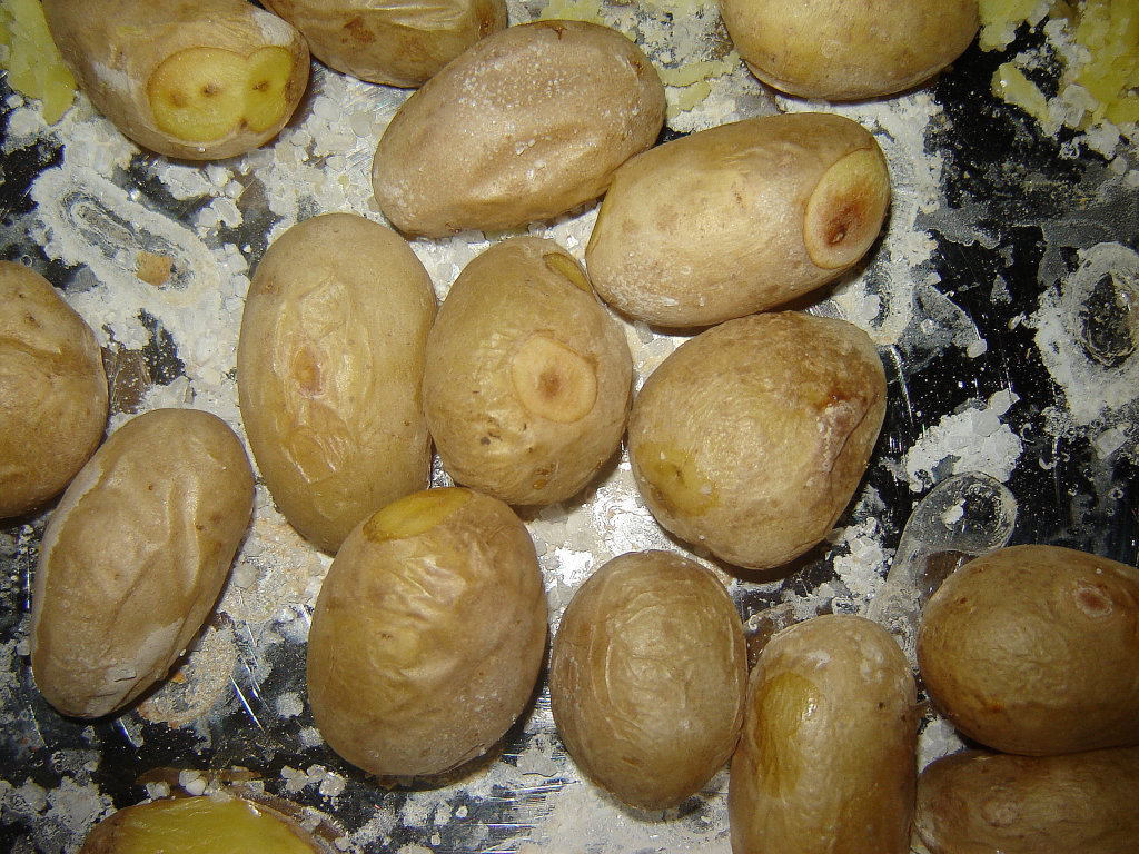 Schweineschulter03.jpg
