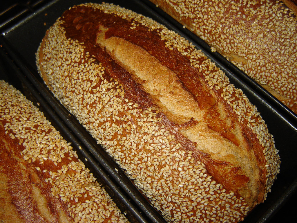 Sesamkruste02.jpg