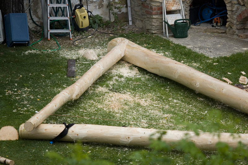 jetzt weiß ich wenigstens, woher meine Rückenschmerzen kommen...